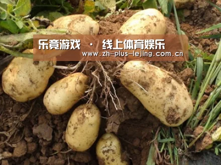 种植基地六