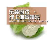 产品名称九