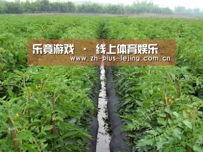 种植基地三