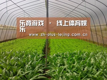 种植基地四