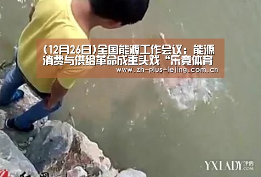 (12月26日)全国能源工作会议:能源消费与供给革命成重头戏“乐竟体育app”(图1) 乐竟体育在线