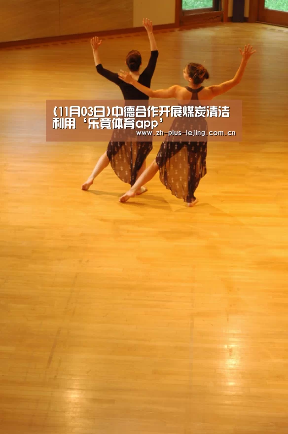 (11月03日)中德合作开展煤炭清洁利用‘乐竟体育app’(图4) 乐竟体育app