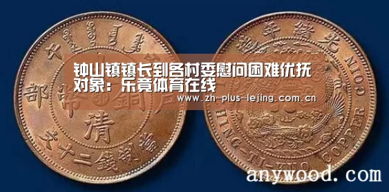 钟山镇镇长到各村委慰问困难优抚对象:乐竟体育在线(图2) 乐竟体育app