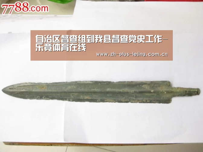 自治区督查组到我县督查党史工作-乐竟体育在线(图2) 乐竟体育游戏