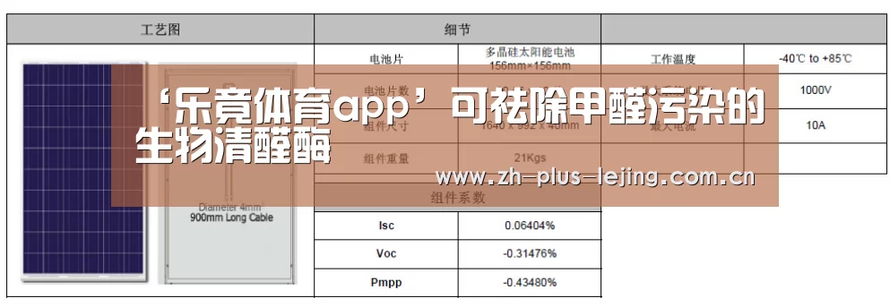 乐竟体育游戏