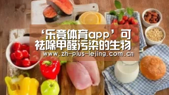 乐竟体育app