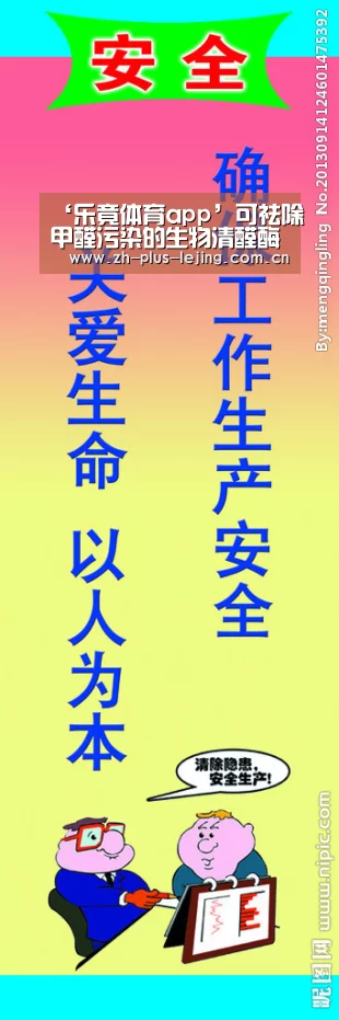 乐竟体育游戏