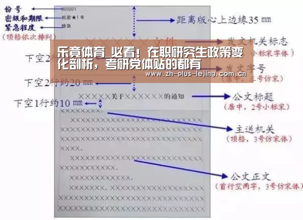 乐竟体育