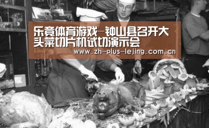 乐竟体育游戏-钟山县召开大头菜切片机试切演示会(图2) 乐竟体育在线