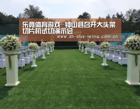 乐竟体育游戏-钟山县召开大头菜切片机试切演示会(图4) 乐竟体育游戏