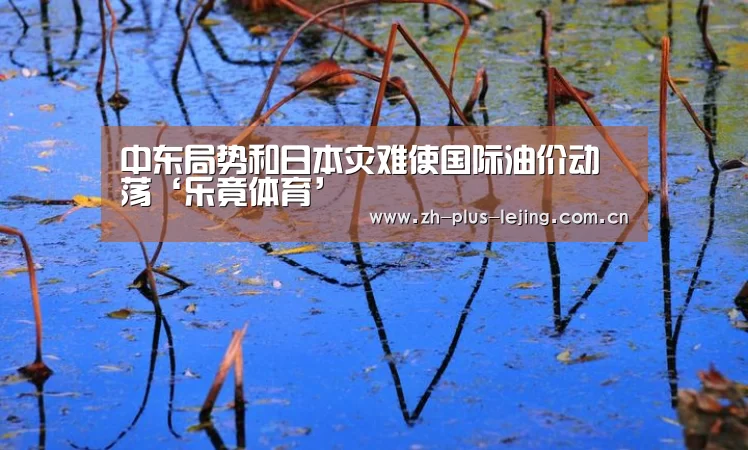 中东局势和日本灾难使国际油价动荡‘乐竟体育’(图1) 乐竟体育在线