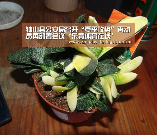 钟山县公安局召开“夏季攻势”再动员再部署会议‘乐竟体育在线’(图3) 乐竟体育app