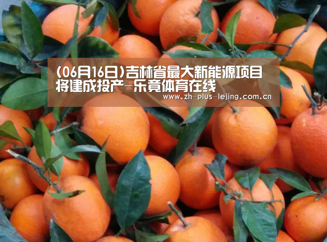 (06月16日)吉林省最大新能源项目将建成投产-乐竟体育在线(图2) 乐竟体育在线