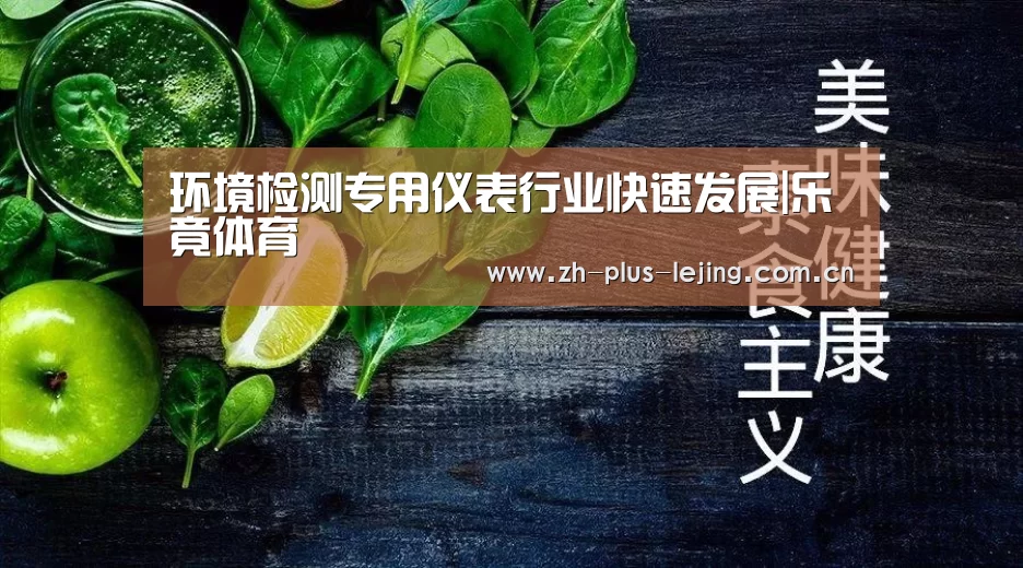 环境检测专用仪表行业快速发展|乐竟体育(图2) 乐竟体育游戏